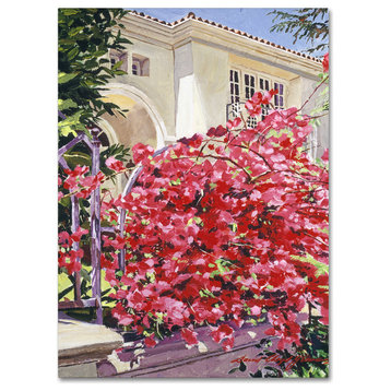 David Lloyd Glover 'Pink Bougainvillea Mansion' Canvas Art, 24"x32"