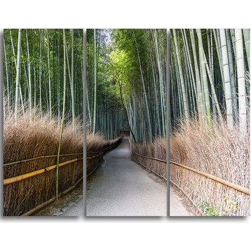 "Straight Path in Bamboo Forest" Forest Metal Wall Art, 3 Panels, 36"x28"