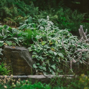 Audubon Certified Backyard Habitat