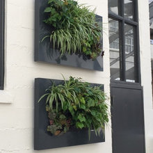 Greenhouse Spa