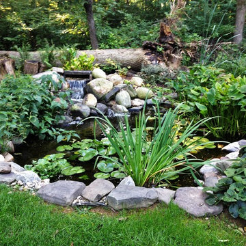 Ponds and Streams