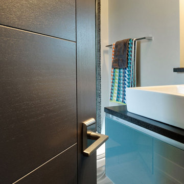 Glenview Haus Modern Interior Doors Gallery Project | GDIM-80070