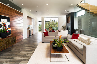 Design ideas for a modern home in Los Angeles.