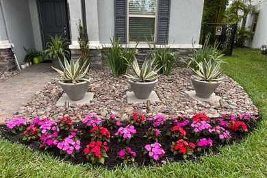 Design ideas for a landscaping in Orlando.