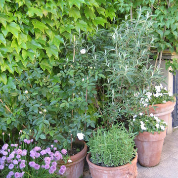 garden in Tuscany