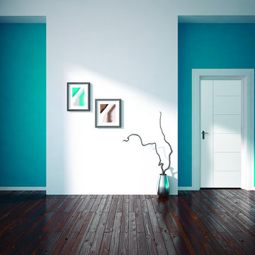 MODERN/CONTEMPORARY DOORS