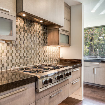 Cleveland Heights Modern