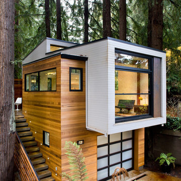 Forest Studio