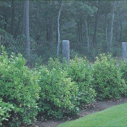Wire on Wood - Home Fencing And Gates