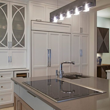 Transitional Penthouse Design