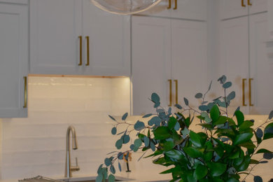 Kitchen - transitional kitchen idea in Philadelphia