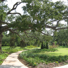 Landscape Ideas