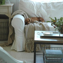 Living Room Ideas