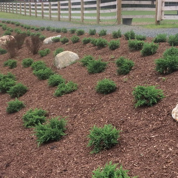 No. Salem - Slope stabilization at horse farm