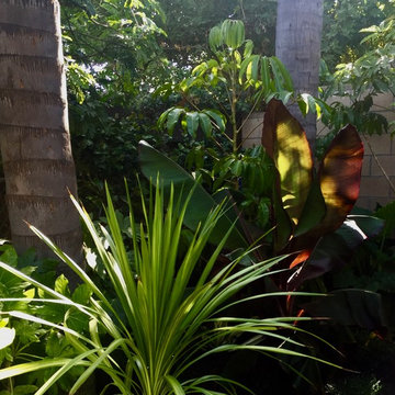 Yorba Linda Tropical