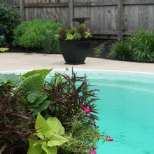gardening ideas