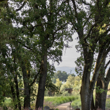 Sonoma Living Pond