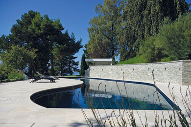 This is an example of a large contemporary backyard custom-shaped pool in Lyon with natural stone pavers.