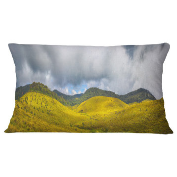 The Horton Plains Landscape Painting Throw Pillow, 12"x20"