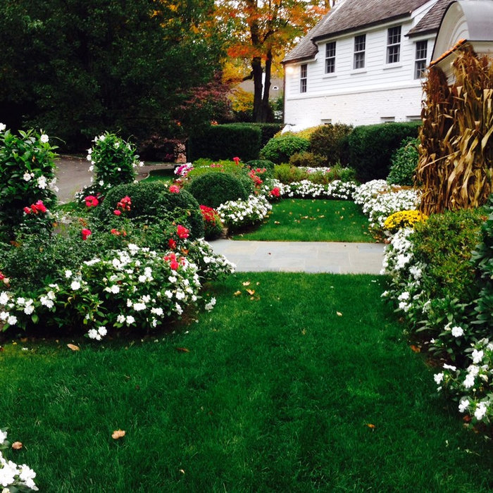 Estate in Greenwich CT. Summer Annuals bloom Knockout Roses, White Man Davila and Fall Corn Husk welcome Halloween to this fine property.  Peter Atkins and Associates, LLC