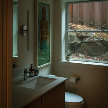 Begun/Weissman Remodel
