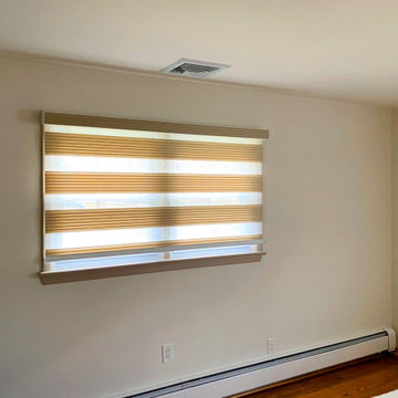 Springblinds Zebra Premium Pleated Light Filtering Shades House Project