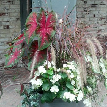 Container Gardens