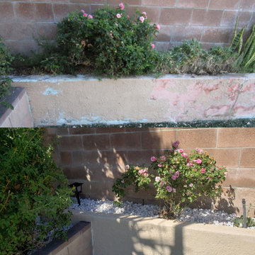 Backyard clean up and remodel