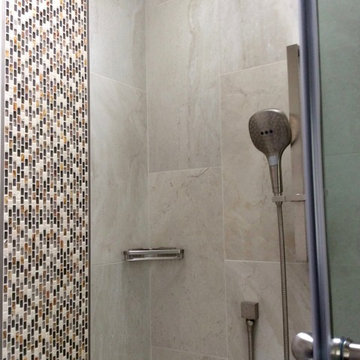 Cambrian Master Bathroom (San Jose)