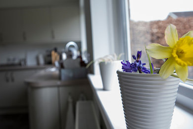 Inspiration for a contemporary kitchen in Oxfordshire.