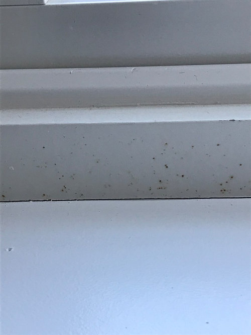 Orange spots on Window frame