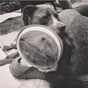 Chloe Terry's photo