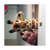 Damien Terronez's photo