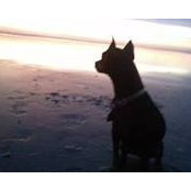 Gina Lebouef-Rominger's photo
