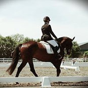Amelie Mongeau's photo