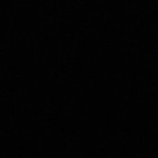 Lisa's photo
