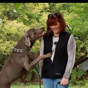 Kym Stacey's photo