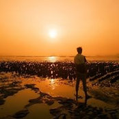 Ming Chan's photo