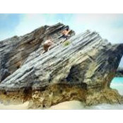 Michael Santosuosso's photo