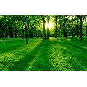 Andreea Silagyi's photo
