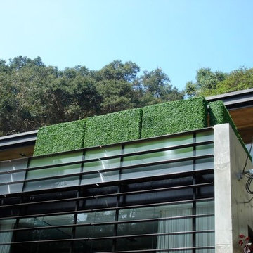 Artificial Hedge Products - Residential