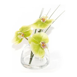 Green Phalaenopsis and Grass Teardrop Vase - Products