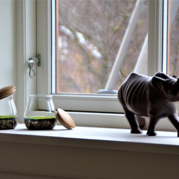 Fragrant Moss in decorative glasses