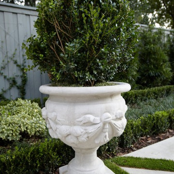 Boxwood Globe in French Pottery
