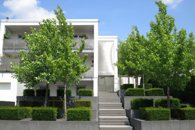 Garten in Frankfurt am Main