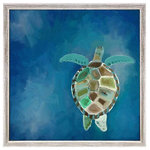 GreenBox Art + Culture - "Swimming Sea Turtle" Mini Framed Canvas by Cathy Walters - This sea turtle moves languorously through luscious indigo water. Cathy Walters brushstrokes make you want to jump in! Peruse more of her coastal collection and consider creating a marine life gallery wall.