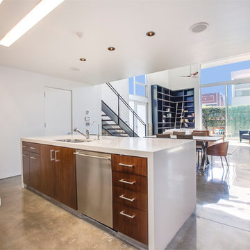 Venice Beach architectural townhouse