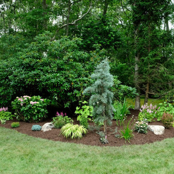Poolside Planting and more