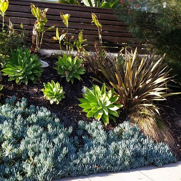 General Clean-up & Plant Additions