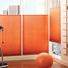 At Home Gym